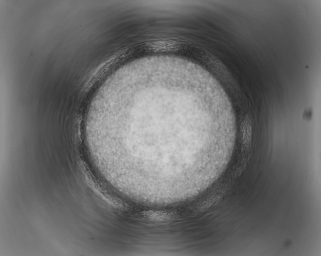 X0000114600733200911301422