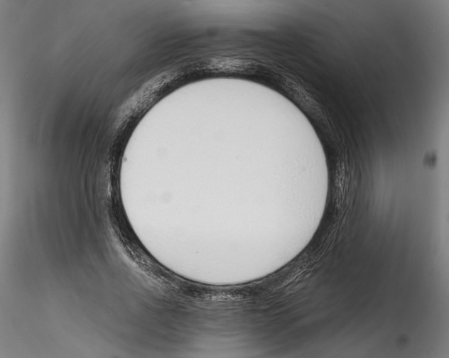 X0000114600734200911301422