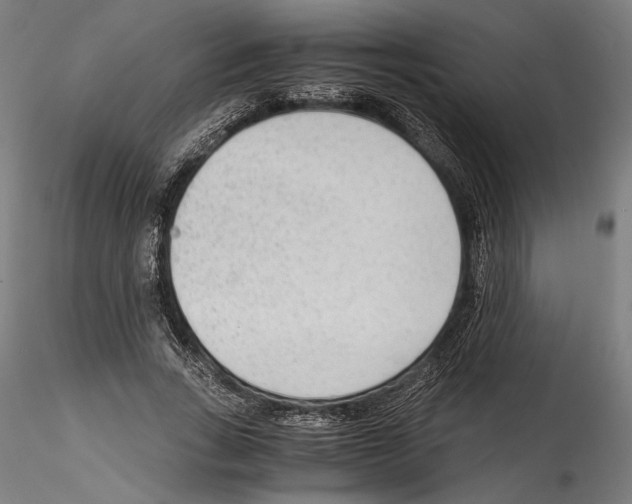 X0000114600735200911301422