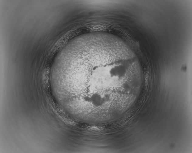 X0000114600737200911301422