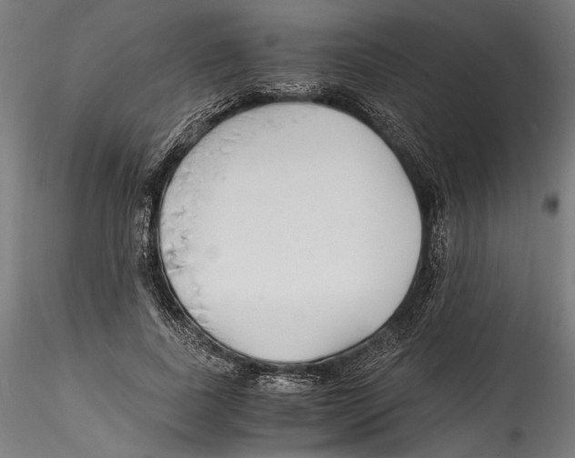 X0000114600739200911301422