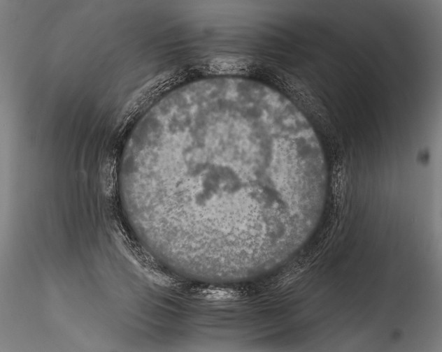 X0000114600741200911301422