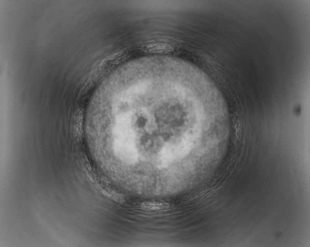 X0000114600745200911301422