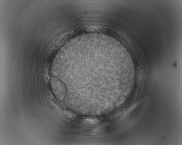 X0000114600749200911301423