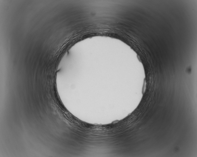 X0000114600750200911301423