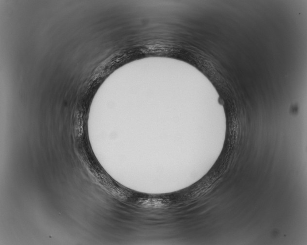 X0000114600751200911301423