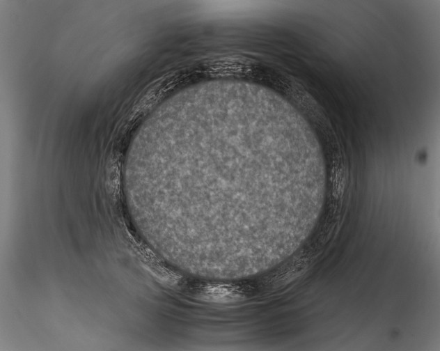 X0000114600753200911301423