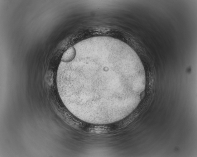 X0000114600758200911301423