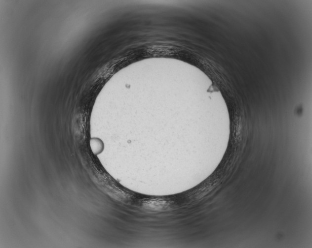 X0000114600759200911301423