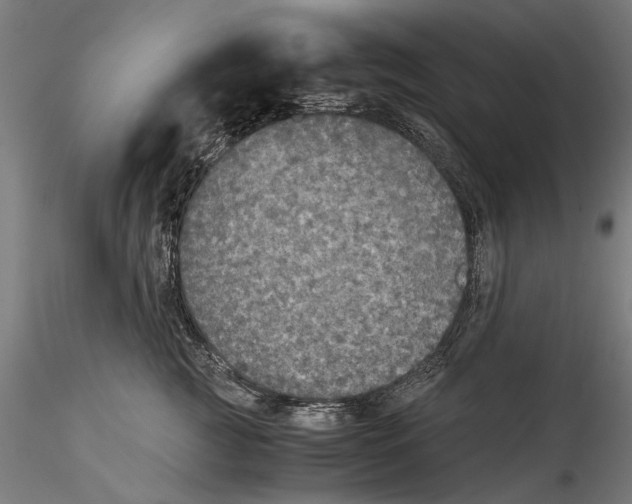 X0000114600761200911301423