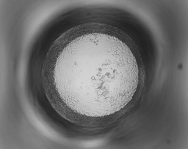 X0000114600765200911301423