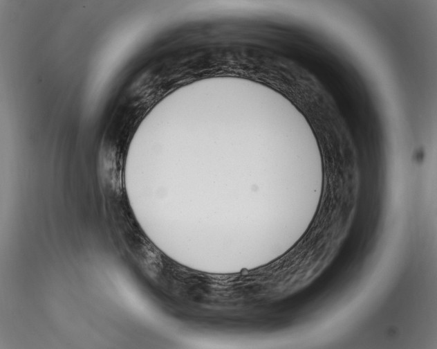 X0000114600766200911301423