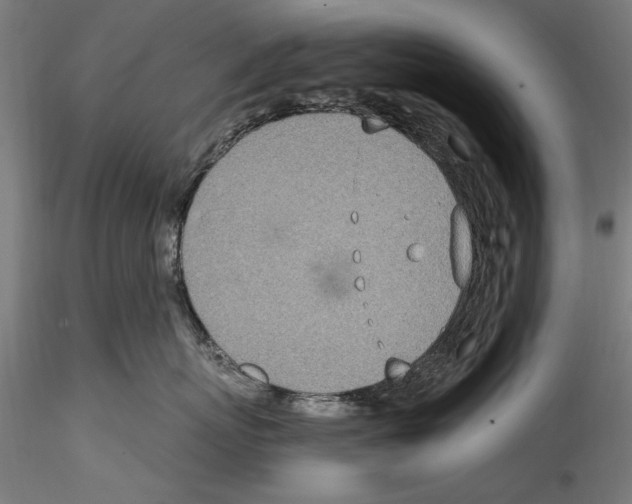 X0000114600767200911301423