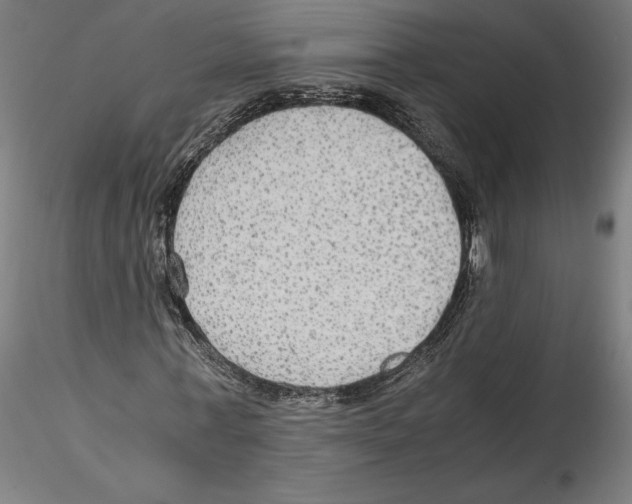 X0000114600771200911301422