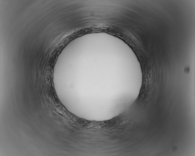 X0000114600773200911301422