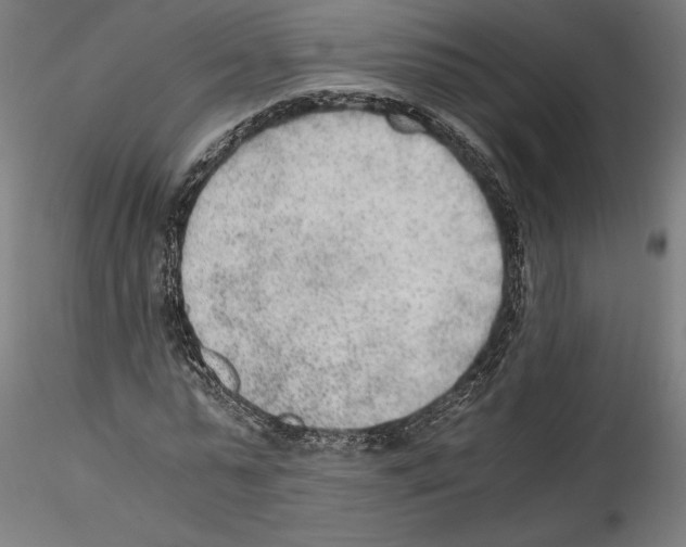 X0000114600775200911301422