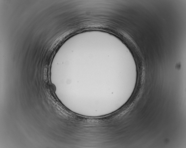 X0000114600777200911301422