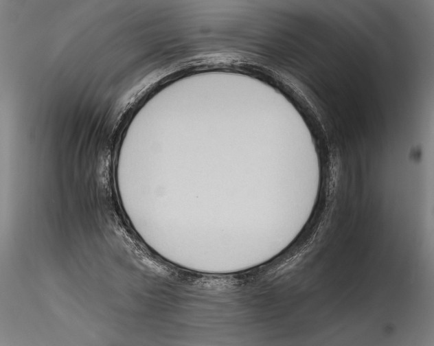 X0000114600778200911301422