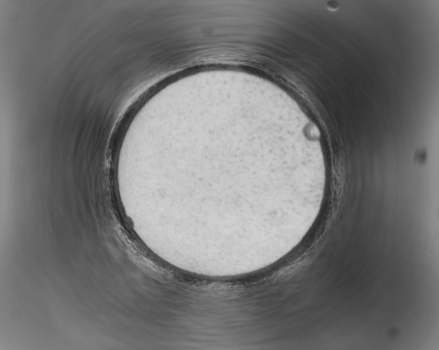 X0000114600779200911301422