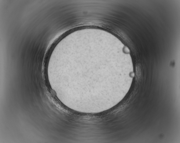 X0000114600780200911301422