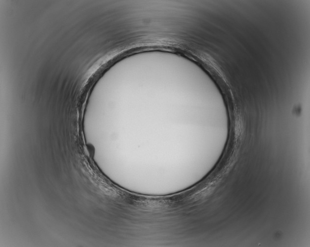 X0000114600781200911301422