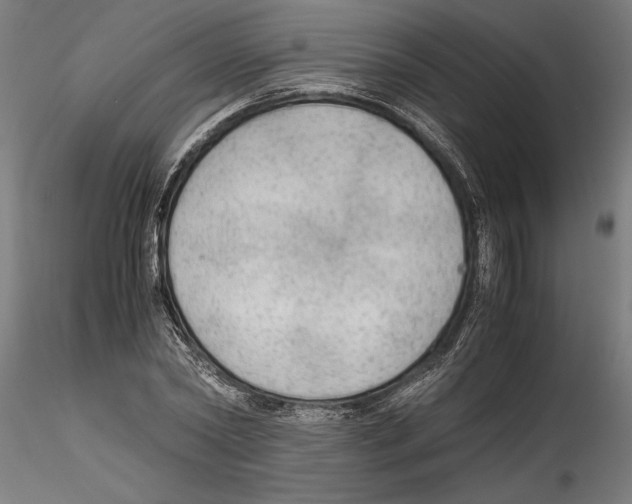 X0000114600782200911301422