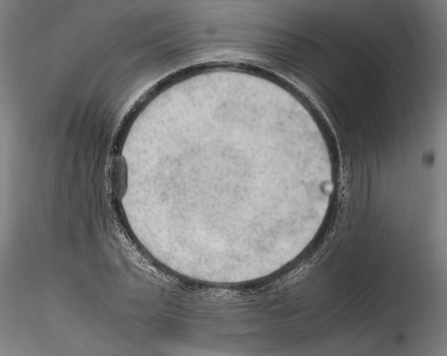 X0000114600783200911301422