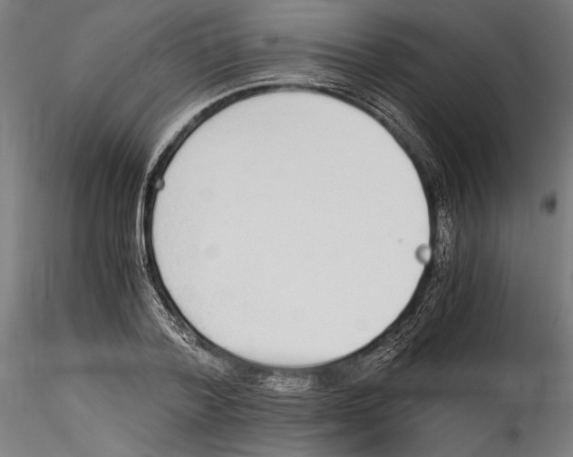 X0000114600788200911301422