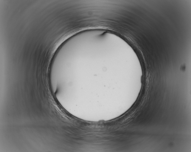 X0000114600789200911301422