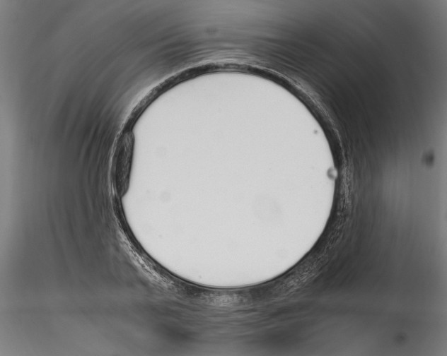 X0000114600791200911301422