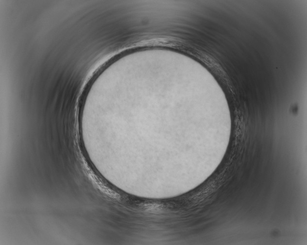 X0000114600792200911301422