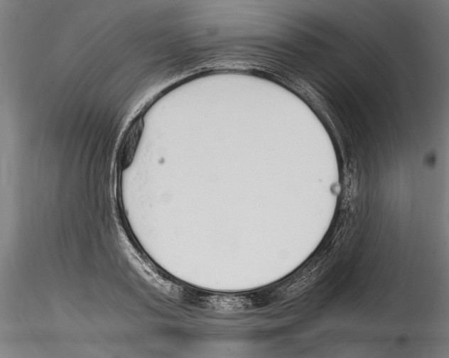 X0000114600795200911301422