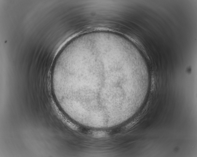 X0000114600798200911301422