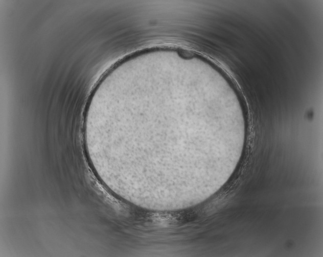 X0000114600799200911301422