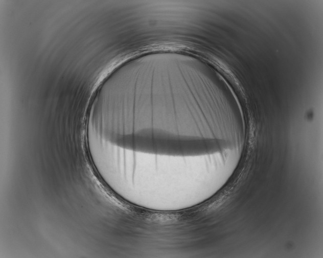 X0000114600802200911301422