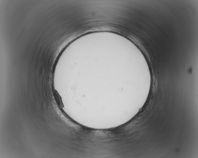 X0000114600805200911301422