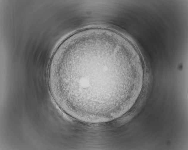 X0000114600807200911301422