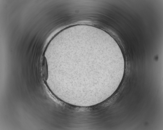 X0000114600808200911301422