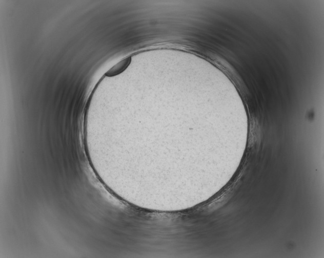 X0000114600812200911301422