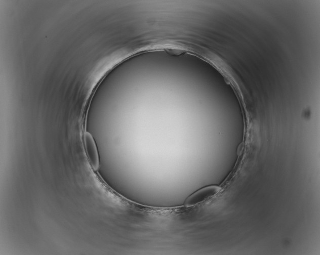 X0000114600813200911301422