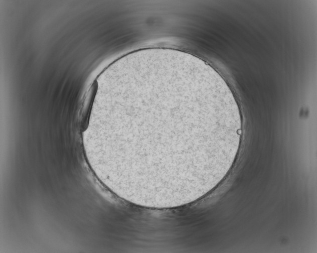 X0000114600816200911301421