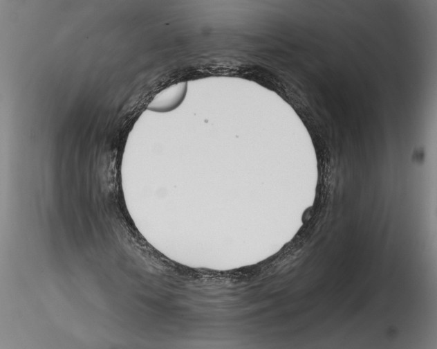 X0000114600818200911301421