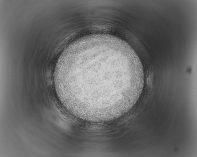 X0000114600819200911301421