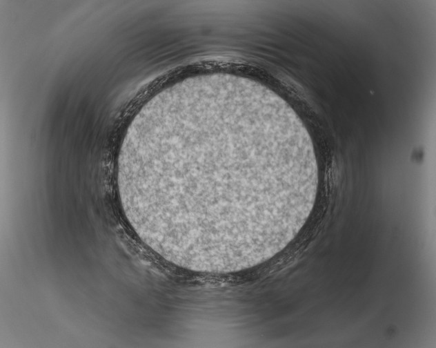 X0000114600822200911301421