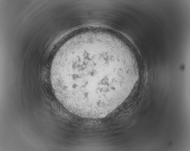 X0000114600823200911301421