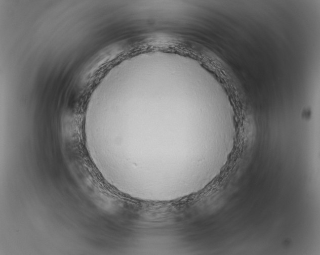 X0000114600824200911301421