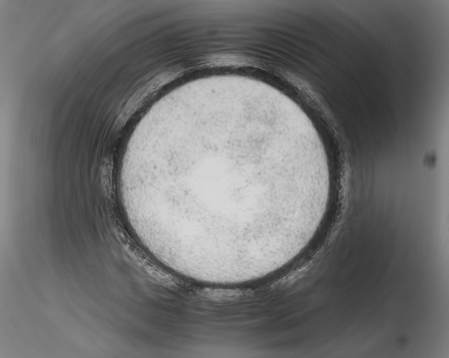 X0000114600825200911301421