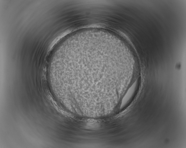 X0000114600827200911301421