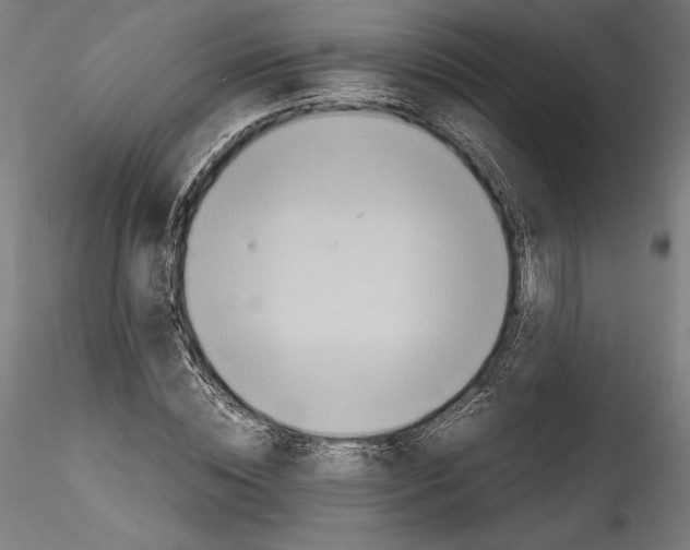 X0000114600828200911301421