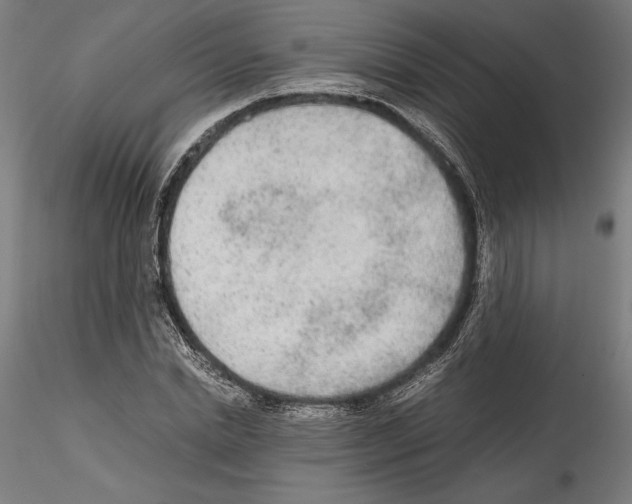 X0000114600830200911301421